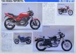 Photo4: 1993 KAWASAKI Bike Catalogue (4)