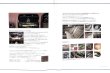 Photo14: All about Toyota CELSIOR [New Model Report 153]  (14)