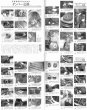 Photo6: Subaru Impreza Maintenance File (6)