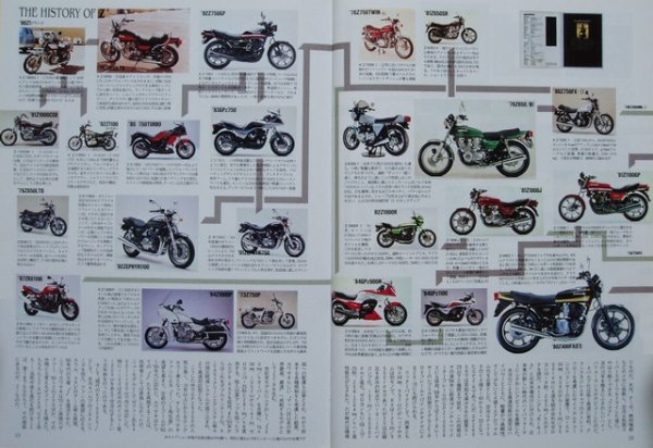 Photo4: The Custom Machine 10 Z special (4)