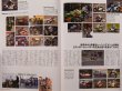 Photo11: 2 stroke magazine vol.3 + DVD (11)