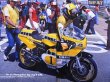 Photo2: RACERS vol.02 Kenny Roberts YZR (2)