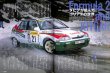 Photo10: RALLY CARS 17 Skoda Octavia WRC (10)