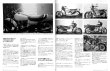 Photo19: Japanese Motorcycles Heritage the Legend of Z part1 1973-1980 (19)