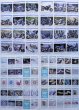 Photo5: Yamaha XJR1200/1300 [Hyper Bike vol.2] (5)