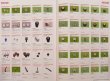 Photo4: MINI Parts Catalogue & Special Shop Guide vol.1 (4)